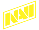 Natus Vincere — NAVI esports organization with which Luka Škrinjarić worked as their sports psychologist
